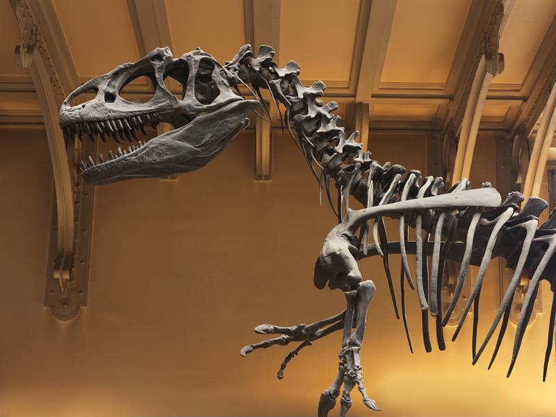 Update IoT readiness so your data center won't be stuck in the ancient past.