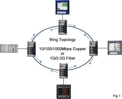 Ring Topology network