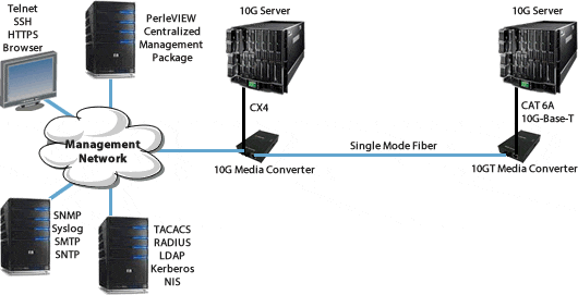 Managed 10GBASE-T Server Diagram