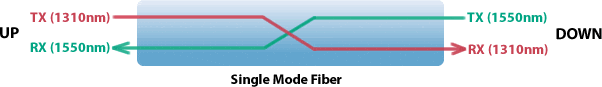 Single Mode Fiber Diagram